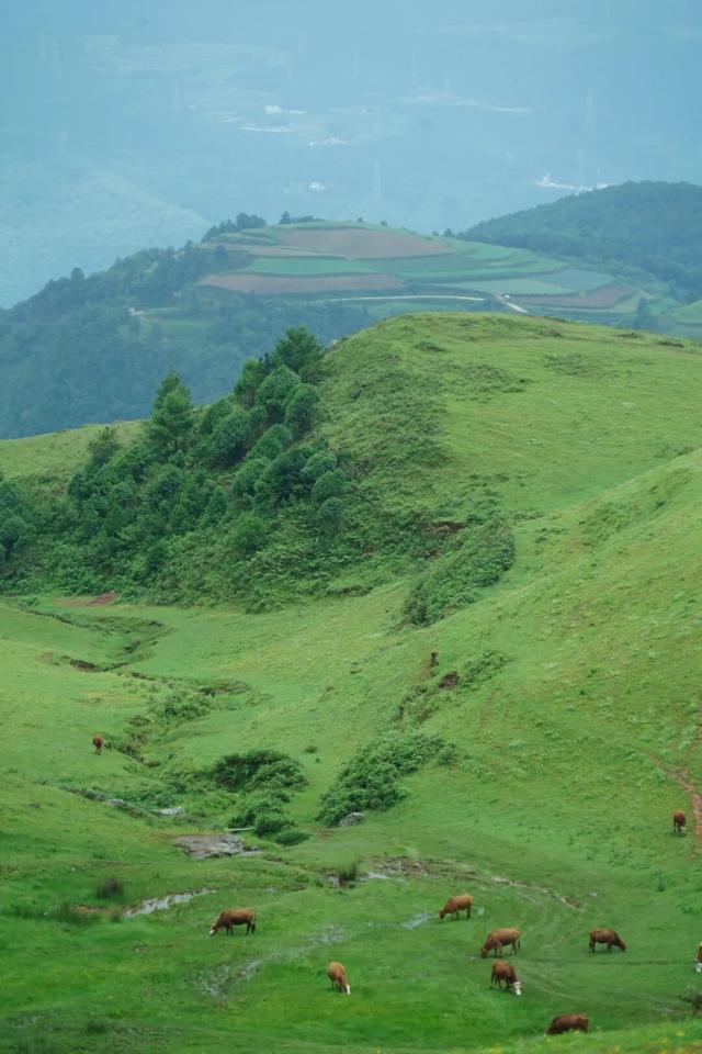 与大地同频呼吸！这个秋天，总要去寻甸草原秘境寻找下自己的“阿勒泰”时刻了