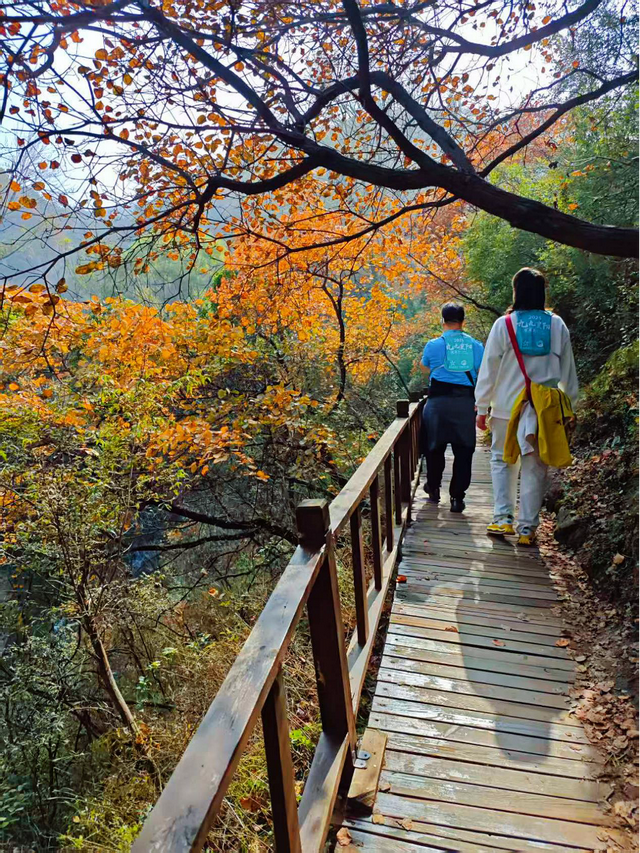 好多人来看这座“红透了”的山？为啥呢→