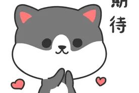 刚刚，厦门岛内小升初派位出炉！21644人参加！图片