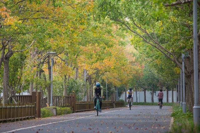 一大波美图袭来！长宁赏秋秘境藏不住啦～