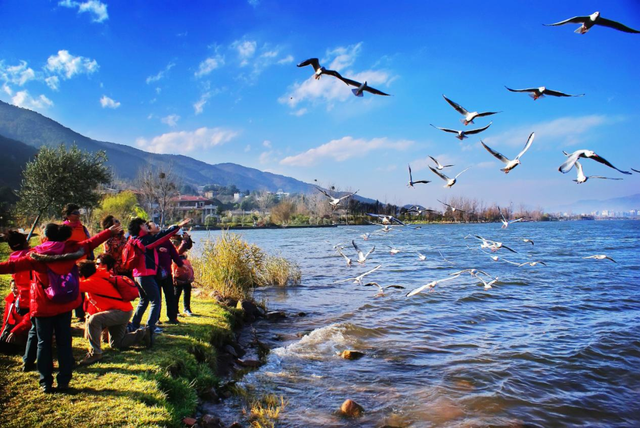 冬季暖阳 凉山不凉