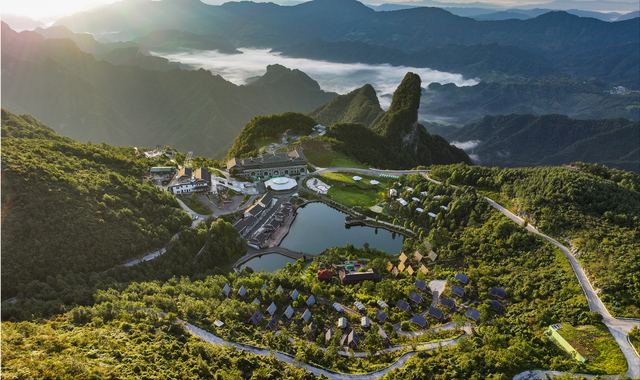 一场摸索于山野、流量与规则之间的“荒野求生”