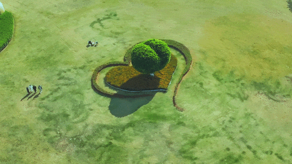 上新！珠海“顶流爱心树”浪漫升级，出片率100%！