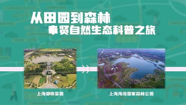 上海首推Techwalk，18条线路86家优惠，城市科普游等你来打卡