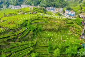 黄冈两会丨支持英山创建中国文学之乡图片