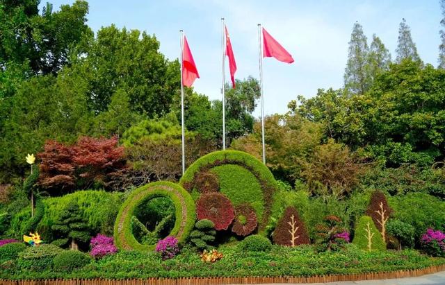 第46届趵突泉金秋菊展明天开幕！5大亮点抢先看