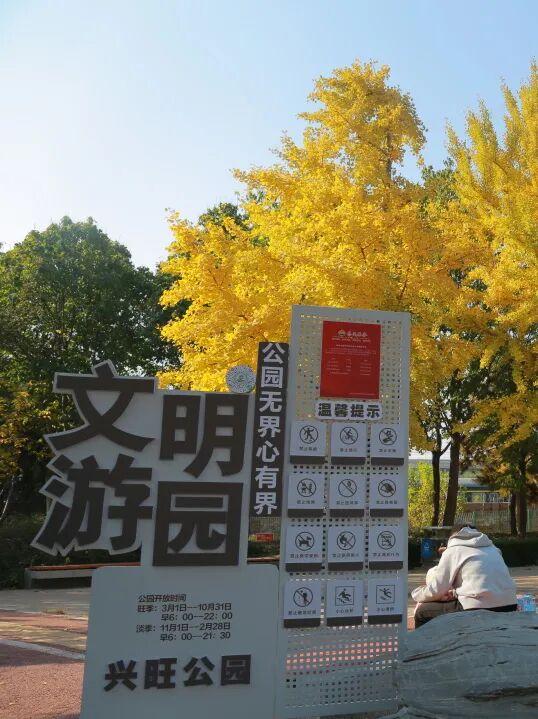 邂逅初冬，大兴6条宝藏慢跑路线请收好