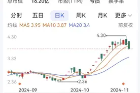 重庆ST三圣重整投资人选中河北冀衡 初步确认债权金额13.83亿元图片