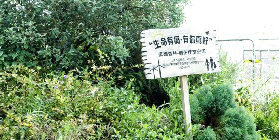 打卡普陀这条路线，解锁“城与自然”新玩法