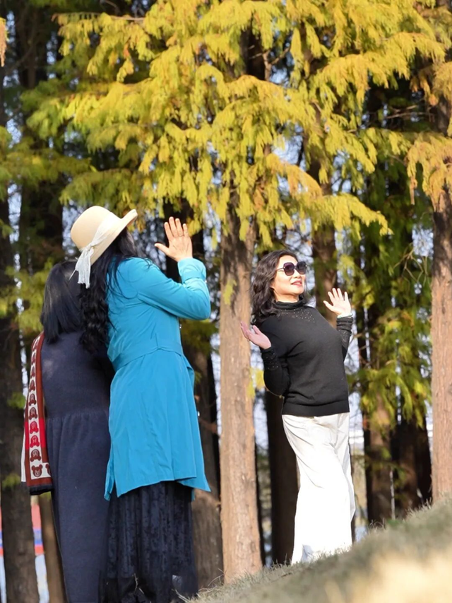 一眼心动的绝美“小森林”，在伦教找到了！