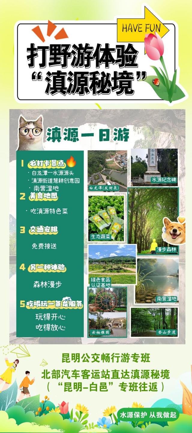 昆明人周末双节新玩场！滇源丰收节八大玩法解锁“生态秘境+非遗盛宴”