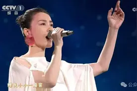 为王菲春晚这首歌改词的总台台长，写过很多大稿！图片