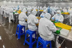 北极甜虾在武陵山区演绎“山海相逢”的故事图片