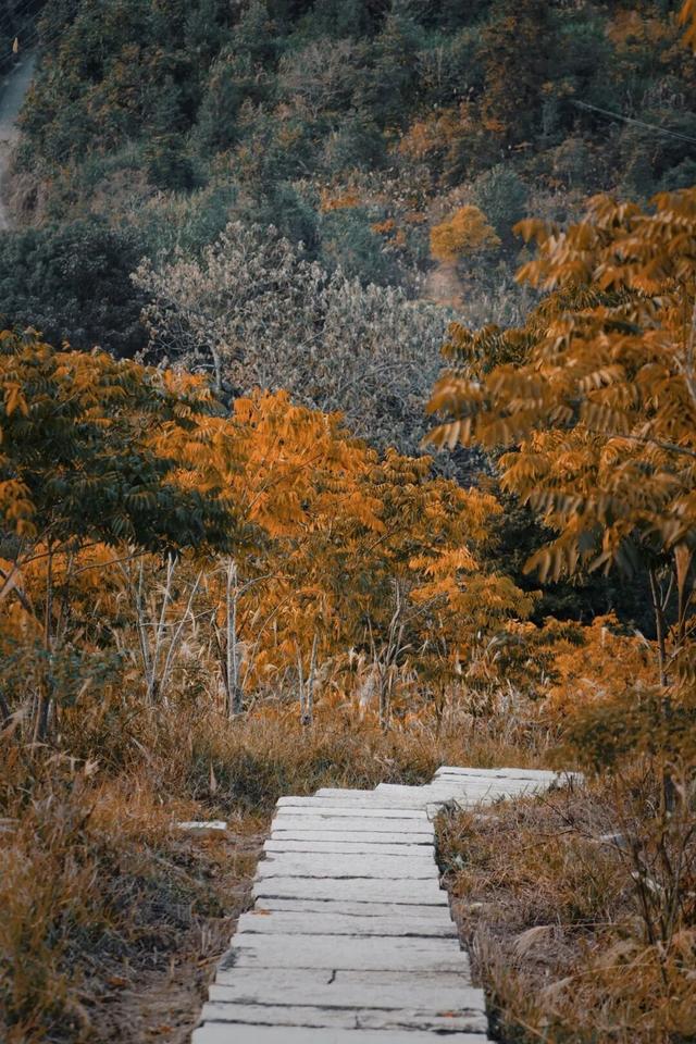 属于福安人的第一场“雪”来了！