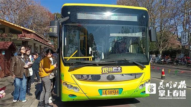 护航观鸥季⑤丨暖心“鸥”遇！就在这场人鸥同乐的双向奔赴里……