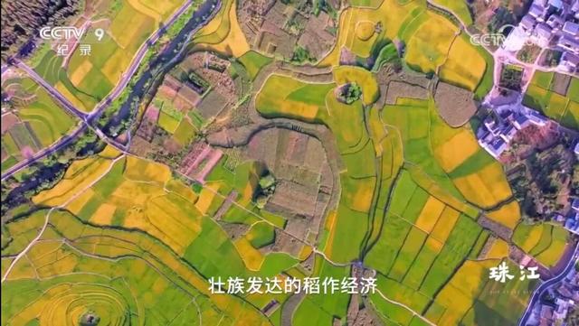 跟着《珠江》游增城！纪录片里的这些地方，一定要打卡