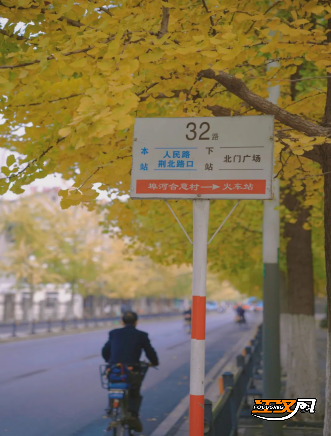 跟着地图赏秋色 荆州发布城区“落叶缓扫”地图