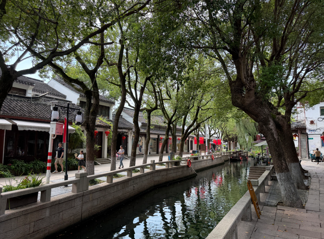 假期去哪儿？练塘古镇藏着“慢时光”