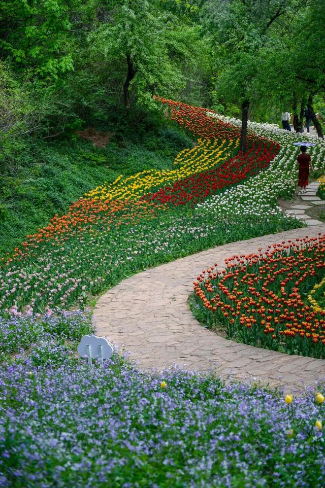 从云端到山野，济南这两地入选省级案例！你打卡过吗？