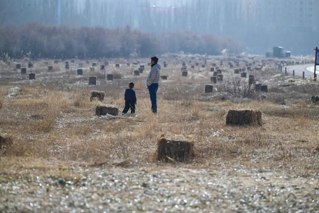 包头这里有好多“瑞士卷”！你去了吗