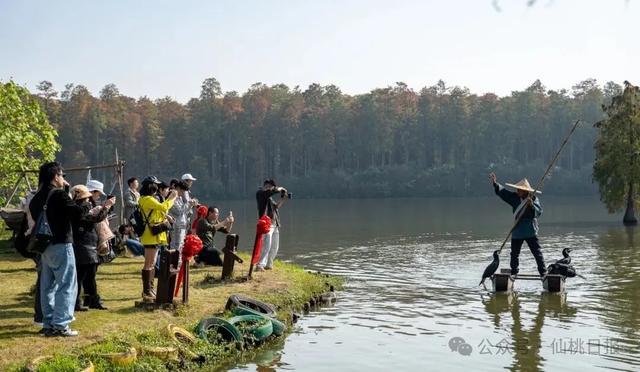 网络大V寻味仙桃,最赞叹的是→