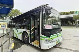 新开一条临时线！顾村公园樱花节定制班线来啦图片