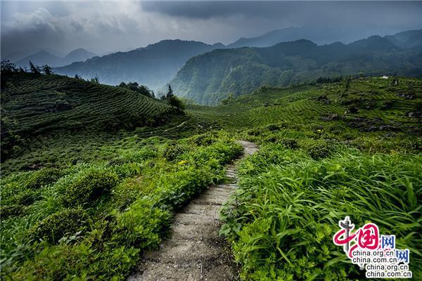 乐山文旅：借国际旅交会东风 书入境游发展新篇