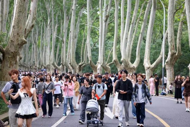 前方记者来报！这是今天的钟山风景区