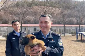 壹点探警丨一只萌犬成长为警犬需要几步？图片