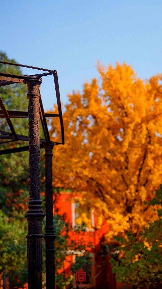 故宫秋日壁纸，上新了！