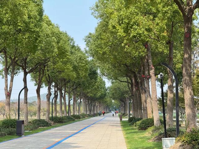 活动报名丨周末去哪玩？带娃来一场穿越千年的奇趣之旅吧！