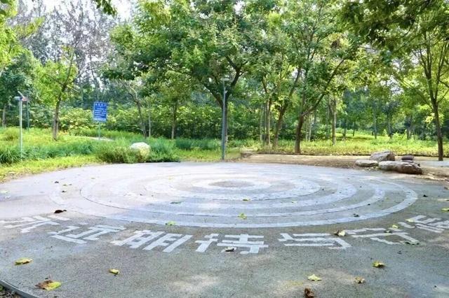 17万平方米绿廊上线！就在——