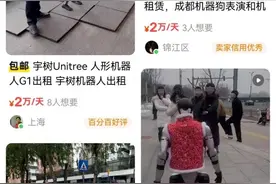 二手市场“人形机器人”日薪过万，有豪车租赁商购十多台机器人转型，订单排到3月底图片