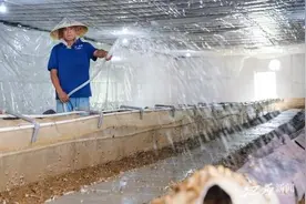 “慢”蜗牛爬出“快”富路图片