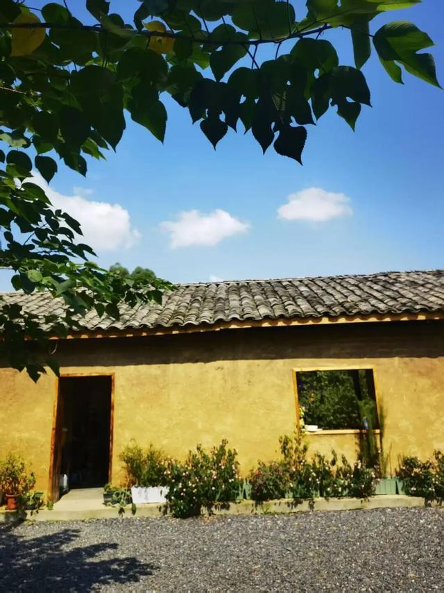 天府新区「村咖指南」