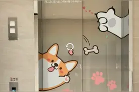 潮评丨“毛孩子”也能进商场，既要有温度也要讲规矩图片
