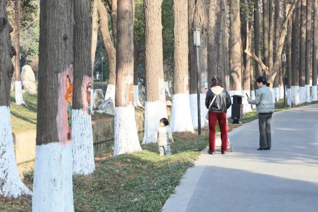 涂鸦上新！快来马鞍山这些公园打卡