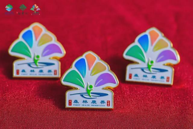 绿美云山丨以森林入药 漫享云山身心疗愈