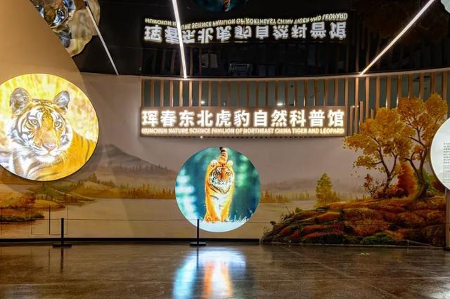 去这座吉林小城避暑的人，帝王蟹都吃腻了