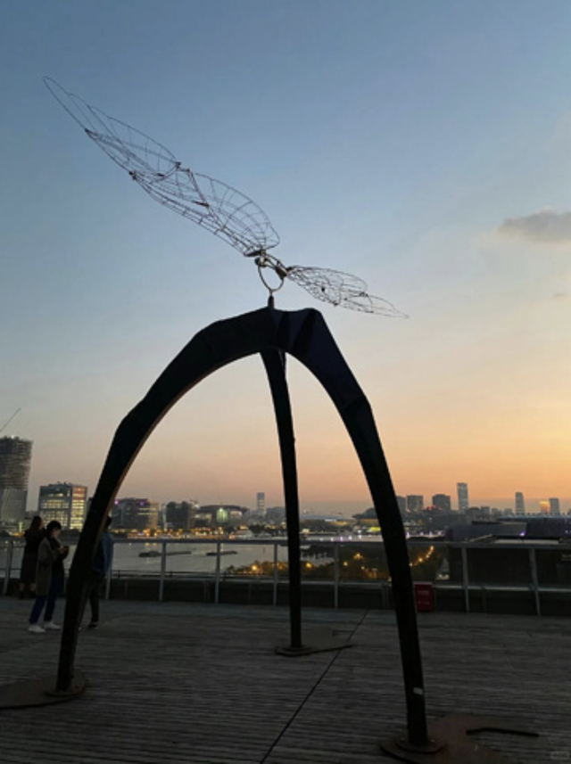 秋日露台主义正当时，看一场夕阳落进梧桐海