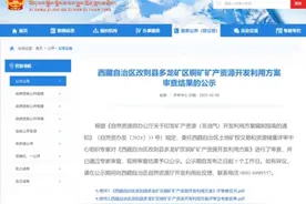 重磅！691万吨超级铜矿启动采矿权办理，宏达股份占股三成图片