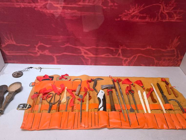 乘着高铁游白山 | “百区百景”打卡攻略之中国人参博物馆