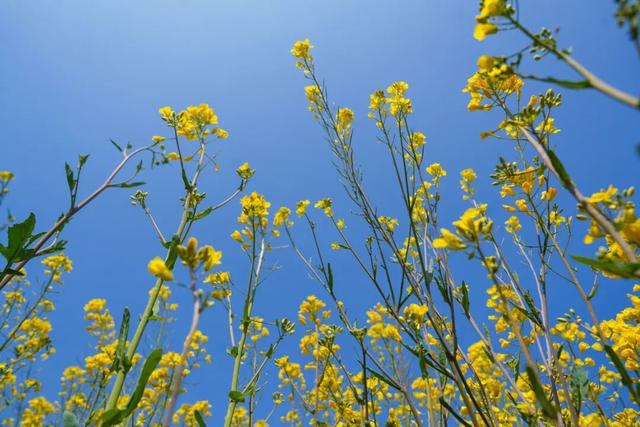 今天！武进到处都是人