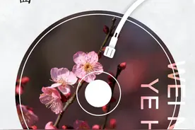 围农夜话丨留将一面与梅花图片