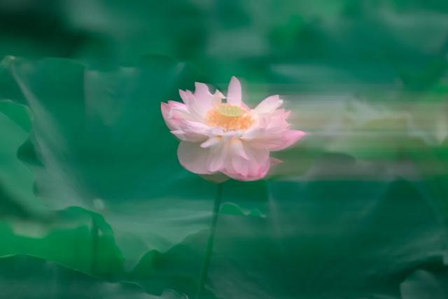 用“考古”的方式打开新都~