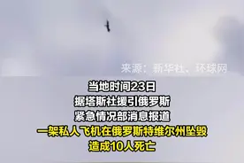 普里戈任坠机身亡：意外还是谋杀？谁干的？图片