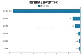 锂矿龙头第三季度亏损收窄，行业触底迹象隐现图片