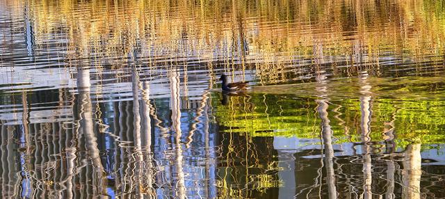 冬日的北京路县故城遗址公园：萧瑟中的浪漫