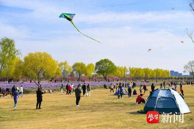 梅染月牙岛 湿地漾春光 连云港月牙岛湿地踏春赏梅正当时