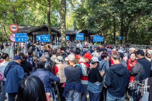 从8点堵到现在！杭州顶流回归